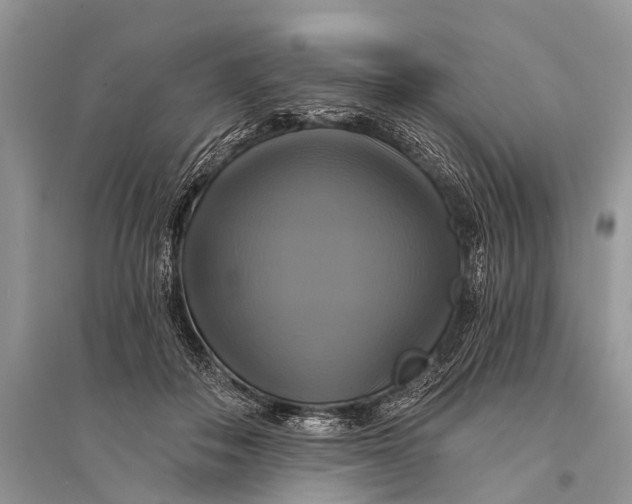 X0000094900506200712201137