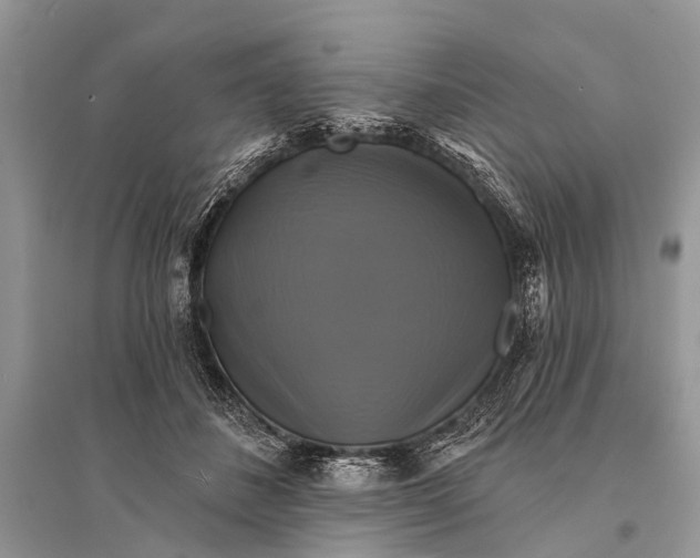 X0000094900508200712201137