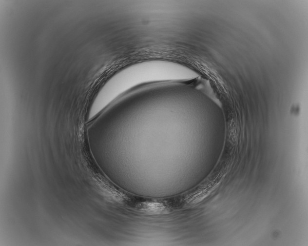 X0000094900509200712201137