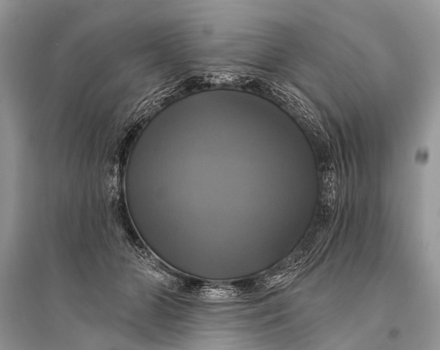 X0000094900510200712201137