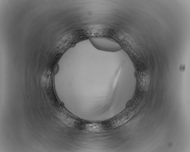 X0000094900511200712201137