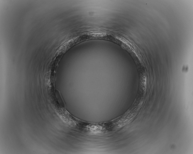 X0000094900512200712201137