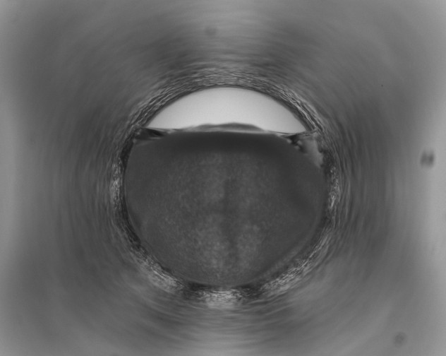 X0000094900513200712201137