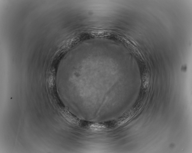 X0000094900515200712201137