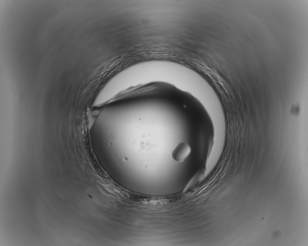 X0000094900517200712201137