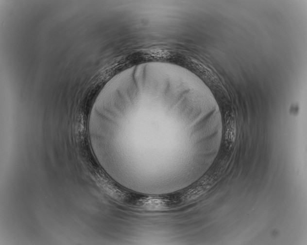 X0000094900518200712201137