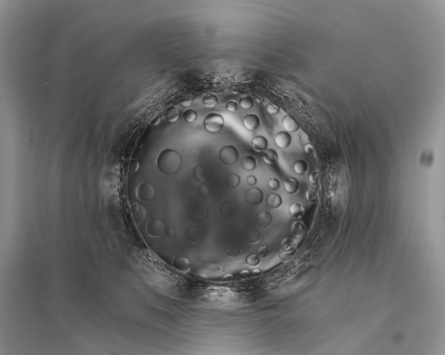 X0000094900519200712201137