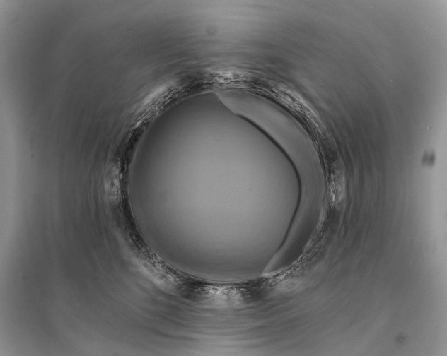 X0000094900520200712201137