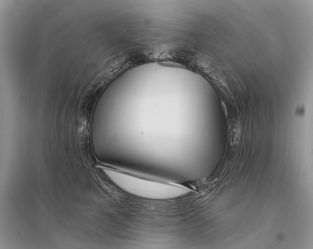 X0000094900521200712201137