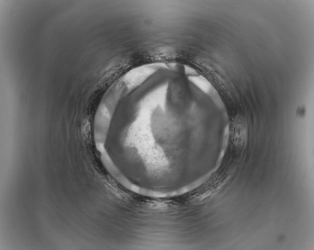 X0000094900523200712201137