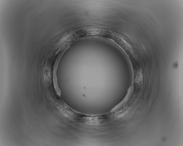 X0000094900524200712201137