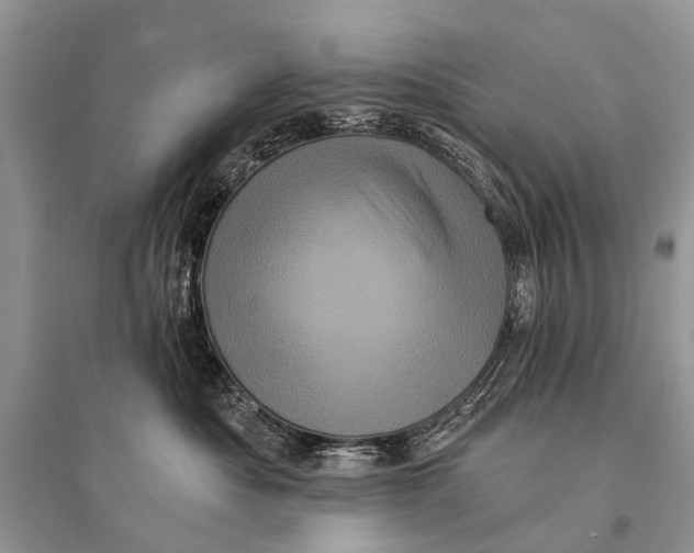 X0000094900525200712201137