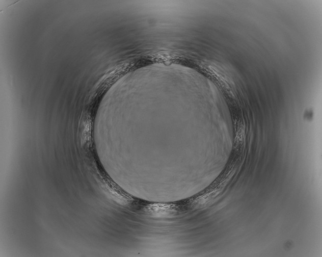 X0000094900526200712201137