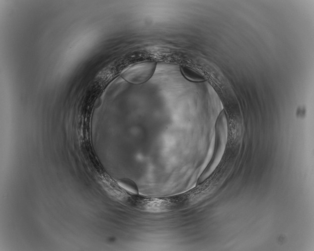 X0000094900527200712201137