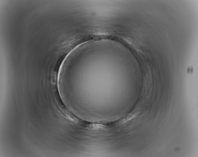 X0000094900528200712201137