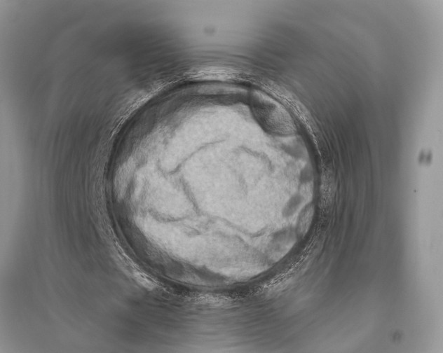 X0000094900529200712201136