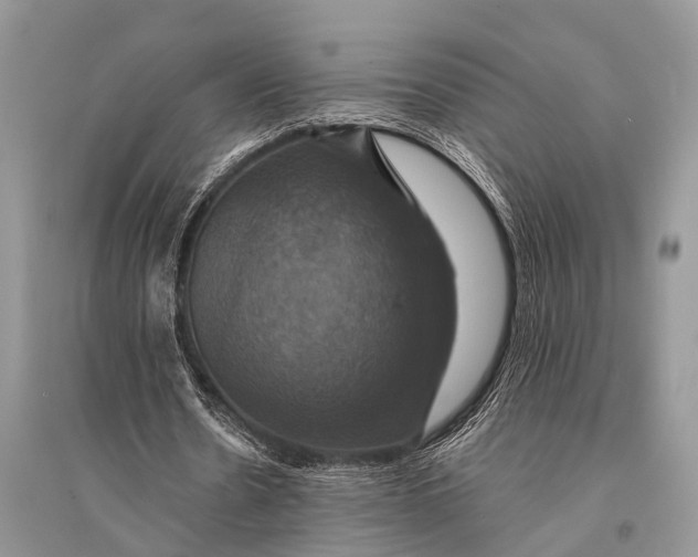 X0000094900530200712201136