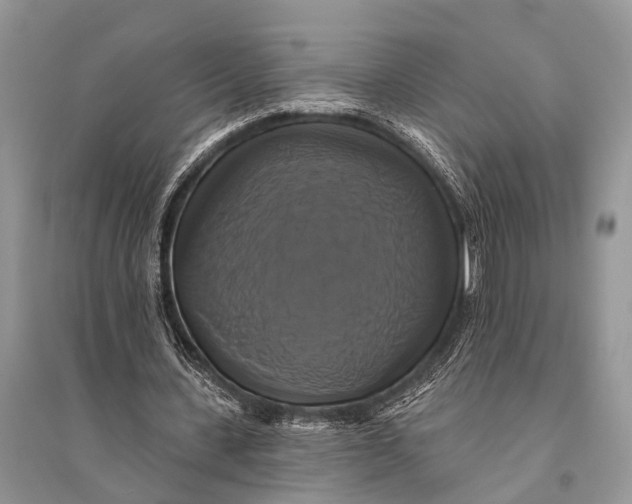 X0000094900531200712201136