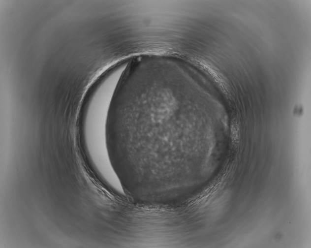 X0000094900532200712201136