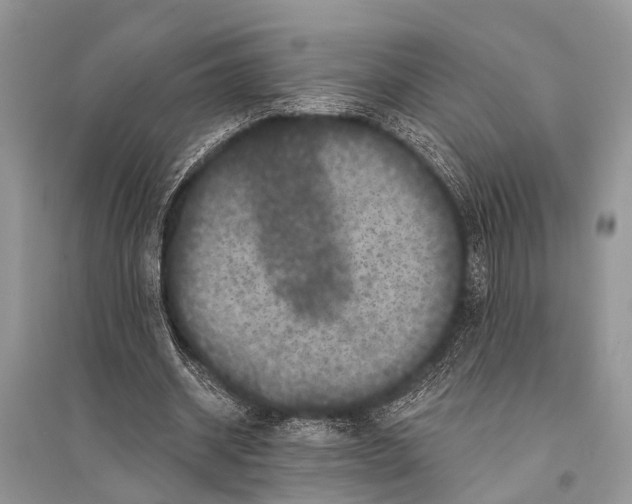 X0000094900534200712201136