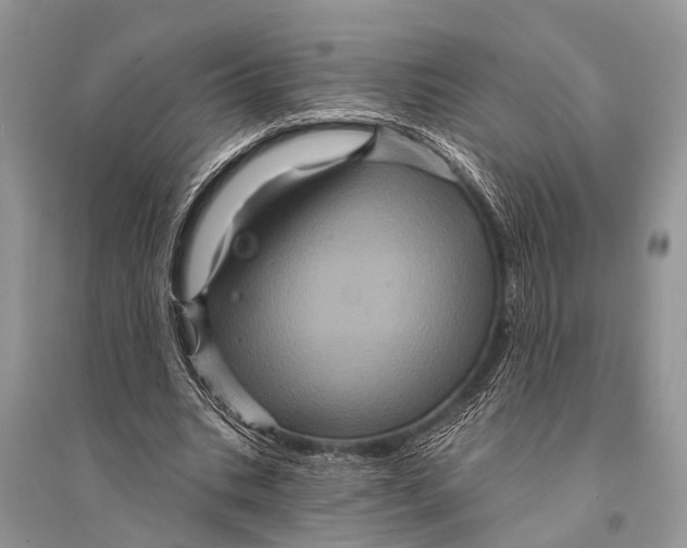 X0000094900535200712201136