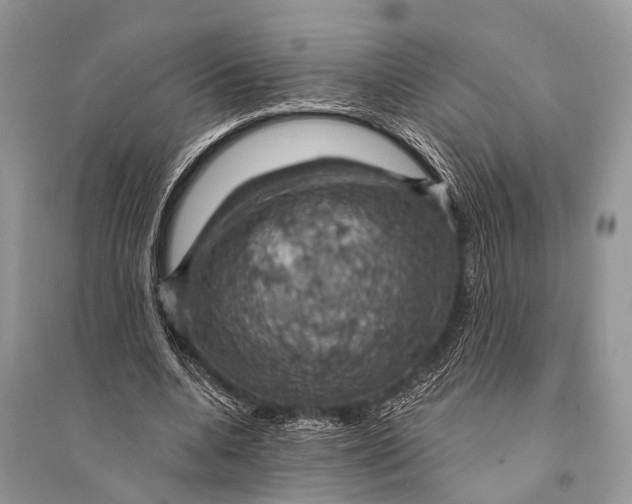 X0000094900536200712201136