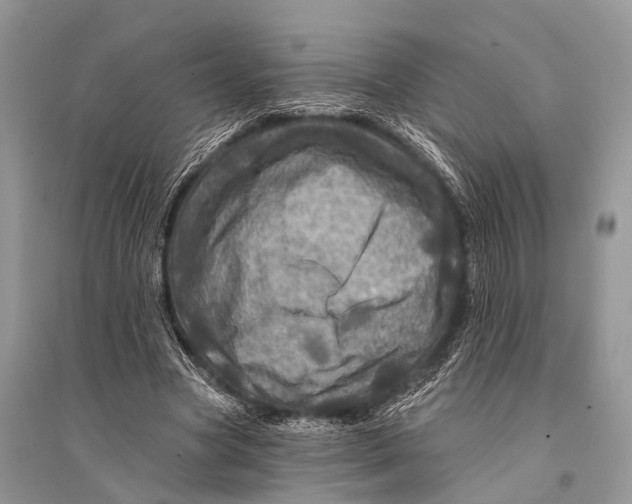 X0000094900537200712201136