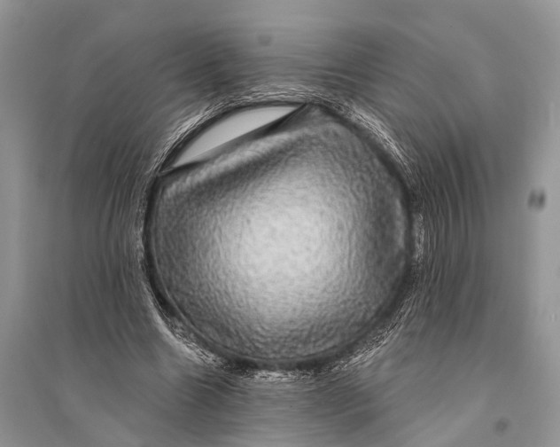 X0000094900538200712201136