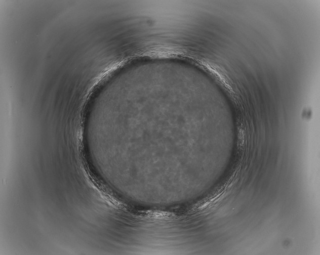 X0000094900539200712201136