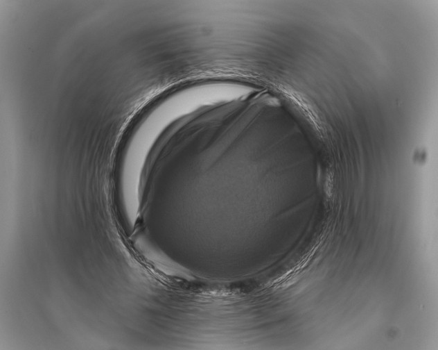 X0000094900540200712201136