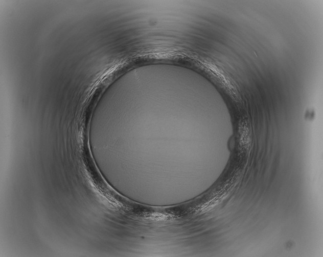 X0000094900542200712201136