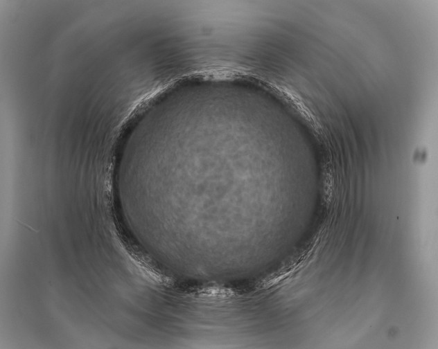 X0000094900543200712201136