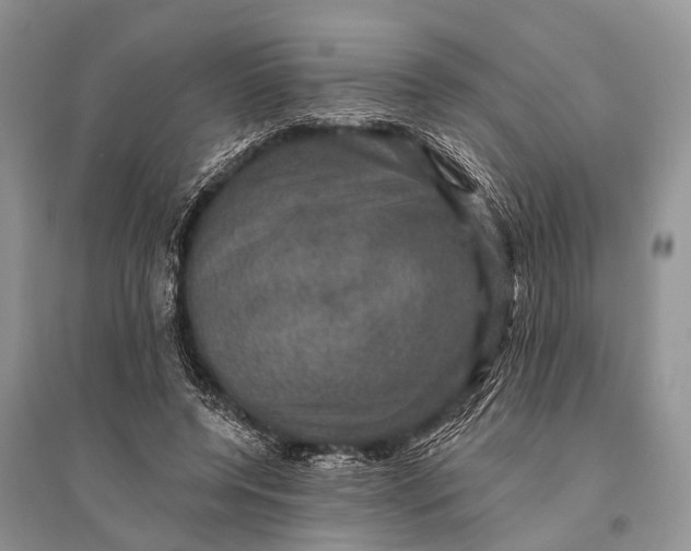 X0000094900544200712201136