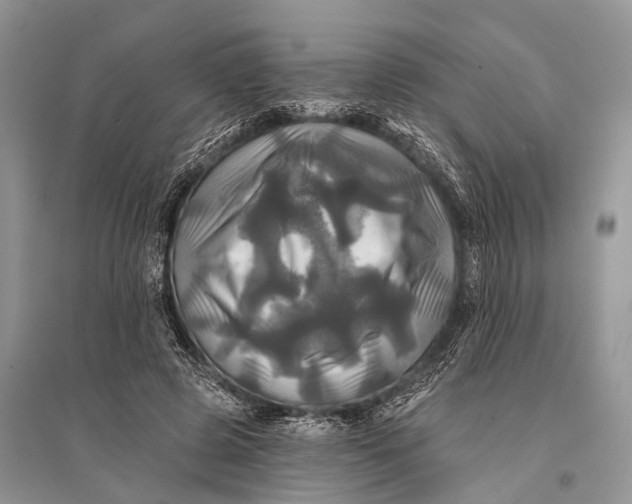 X0000094900545200712201136