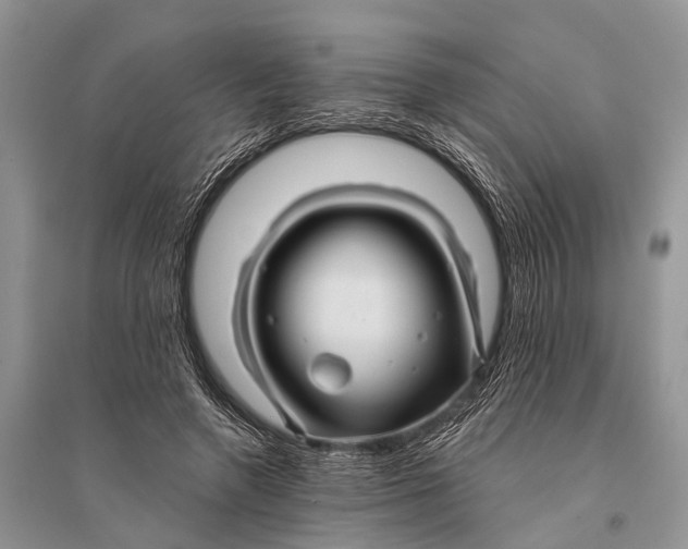 X0000094900546200712201137