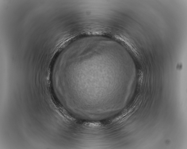 X0000094900548200712201137