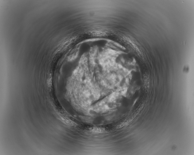 X0000094900549200712201137