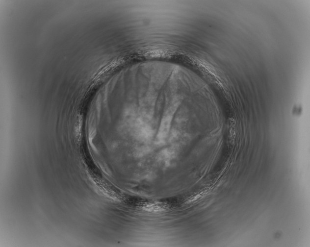 X0000094900550200712201137