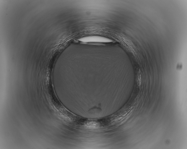 X0000094900551200712201137