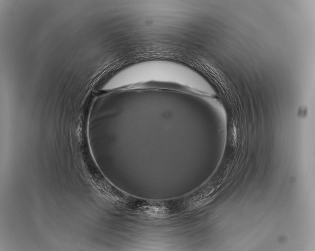 X0000094900552200712201137