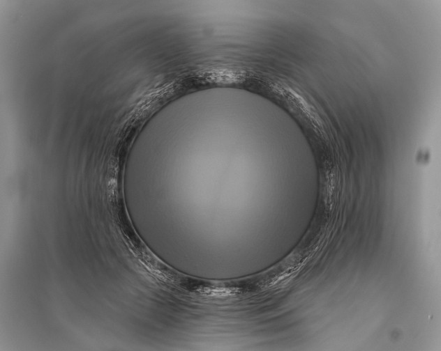 X0000094900553200712201137