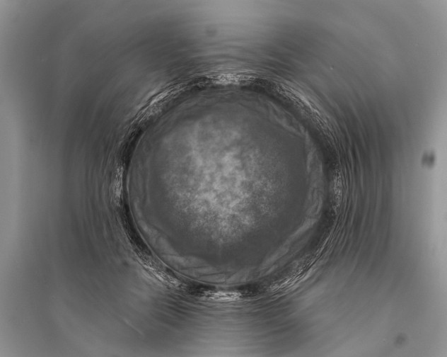 X0000094900554200712201137