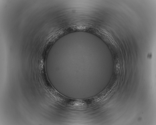 X0000094900555200712201137