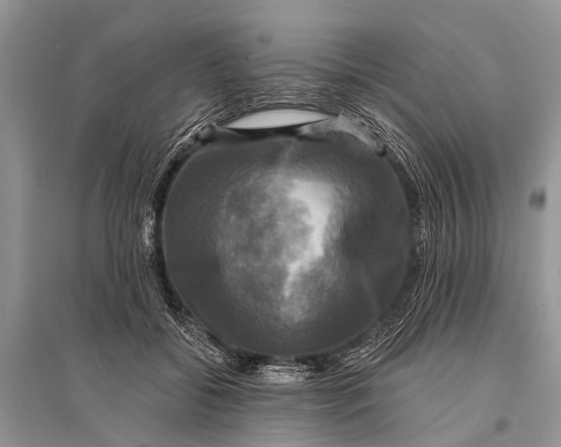 X0000094900556200712201137