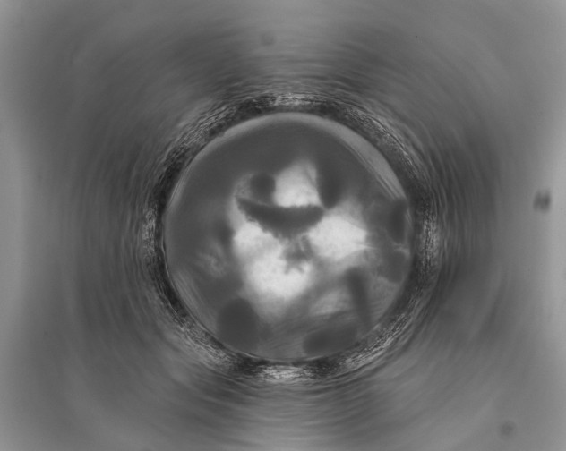 X0000094900557200712201137