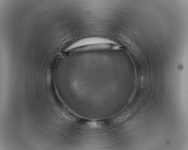 X0000094900558200712201137