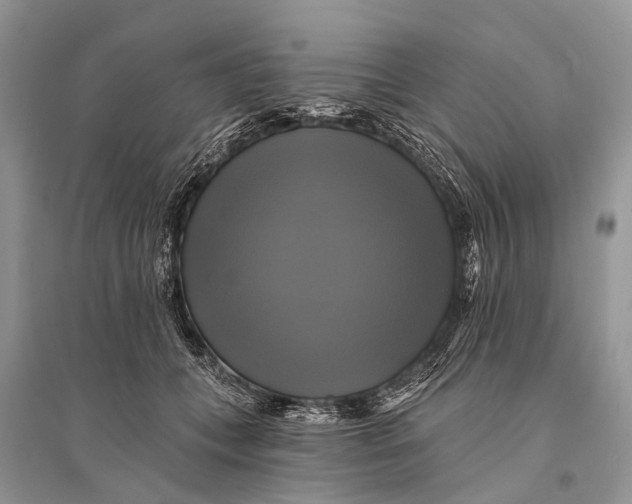 X0000094900559200712201137