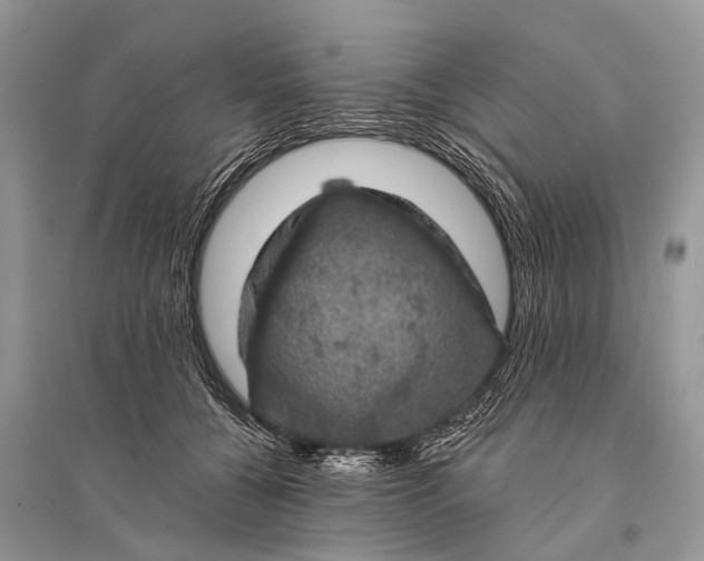 X0000094900560200712201137