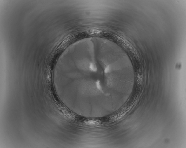 X0000094900561200712201137