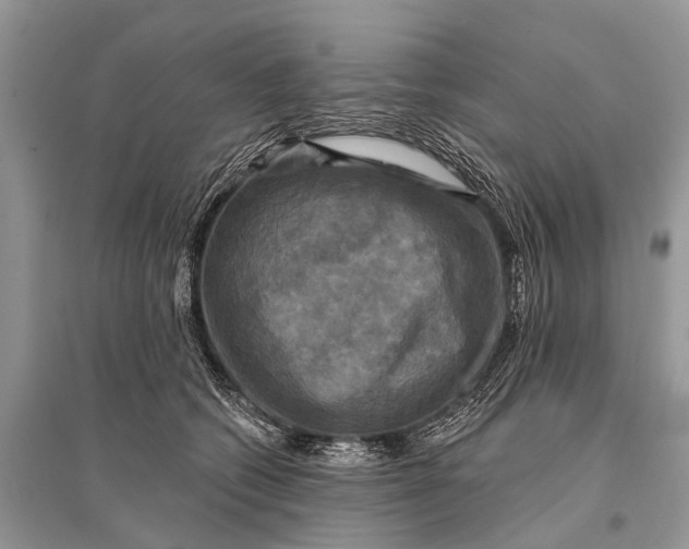 X0000094900562200712201137